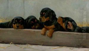 Dachshund Puppies by Niels Simonsen