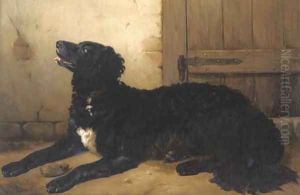 The faithful hound