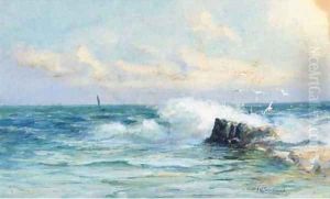 Waves crashing on the rocks with seagulls playing above by William Harrison Scarborough