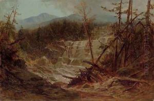 Stream in the Adirondacks by James David Smillie