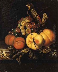 Peaches, apricots and grapes on a marble ledge by Ernst Stuven