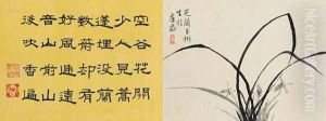 Leaf 12a and 12b, from Master Shen Fengchis Orchid Manual Vol. I, 1882 Leaf 12a and 12b, from Master Shen Fengchis Orchid Manual Vol. I, 1882