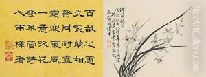 Leaf 11a and 11b, from Master Shen Fengchis Orchid Manual Vol. I, 1882 Leaf 11a and 11b, from Master Shen Fengchis Orchid Manual Vol. I, 1882