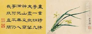 Leaf 4a and 4b, from Master Shen Fengchis Orchid Manuel Vol. IV, 1882 by Zhenlin Shen