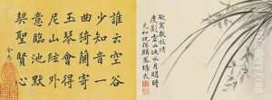 Leaf 5a and 5b, from Master Shen Fengchis Orchid Manual Vol. I, 1882 Leaf 5a and 5b, from Master Shen Fengchis Orchid Manual Vol. I, 1882