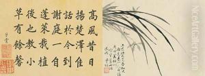 Leaf 1a and 1b, from Master Shen Fengchis Orchid Manual Vol. I, 1882 Leaf 1a and 1b, from Master Shen Fengchis Orchid Manual Vol. I, 1882