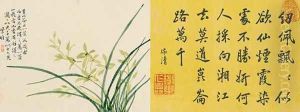 Leaf 8a and 8b, from Master Shen Fengchis Orchid Manual, Vol. II, 1882 Leaf 8a and 8b, from Master Shen Fengchis Orchid Manual, Vol. II, 1882