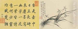Leaf 7a and Leaf 7b, from Master Shen Fengchis Orchid Manual Vol. I, 1882 by Zhenlin Shen
