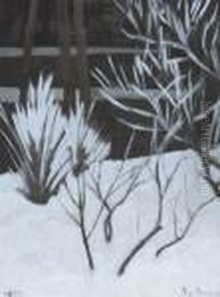 Veegetation Dans La Neige - view 1