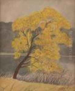 Arbre En Fleurs by Leon Spilliaert