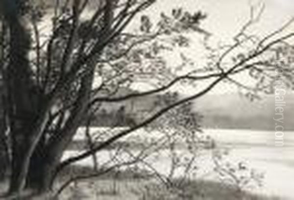 Le Lac - view 1