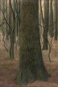 Ecorce De Chene: An Oak Tree In A Forest