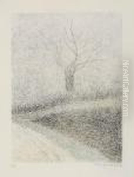 Boom In De Mist - view 1