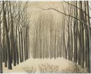 Effets De Neige Aux Arbres