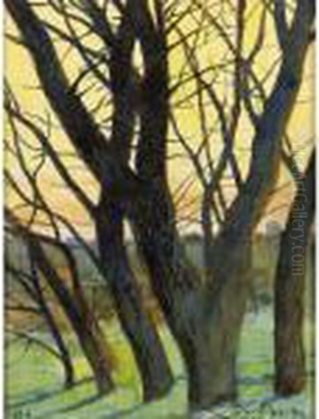 Trees In The Winter By Evening Fall - view 1