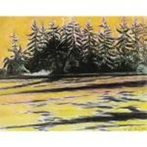 Het Sparrenbos by Leon Spilliaert