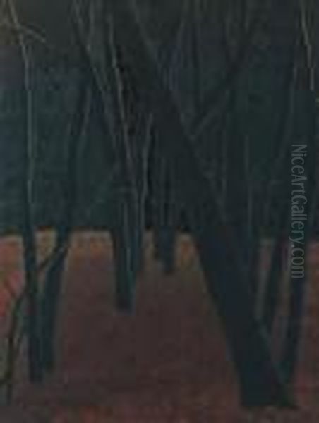 A Forest - view 1