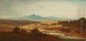 Voralpenlandschaft