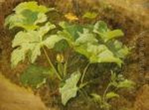 Blossoming Pumpkin by Carl Spitzweg