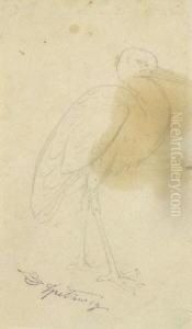 Storch.