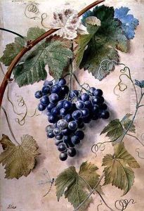 Black Grapes by James Sillett
