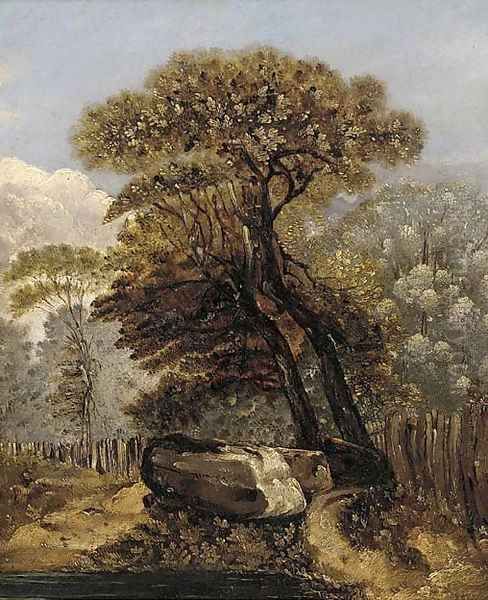 A wooded landscape - view 1