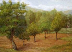 Spring Landscape by Edward Stieglitz