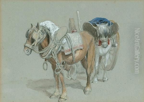 Two Ponies - view 1