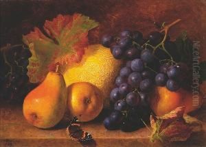 Pears, Melon And Grapes With A Tortoiseshell Butterfly In The Foreground