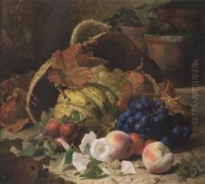 Still Life With Fruit And Convulvulus Still Life With Fruit And Convulvulus