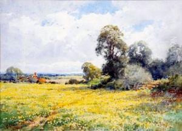 Country Landscape - view 1