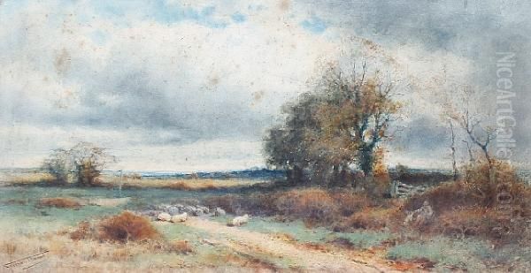 The Sheepdog's Reward - view 1