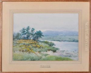 The Tyne At Corbridge