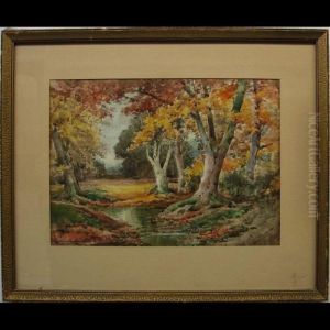 Autumn With Beechwood - Hertfordshire
