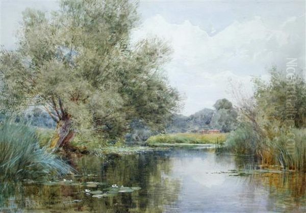 A Quiet Backwater - view 1