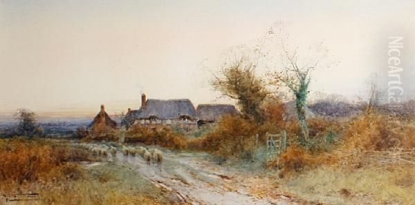 Sheep On A Country Lane - view 1