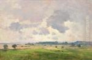 Extensive Rural Landscape