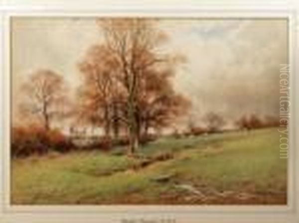 The First Mild Of March - view 1