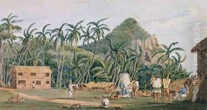 A view of the village at Pitcairn Island, December 1825 by Admiral William Henry Smyth