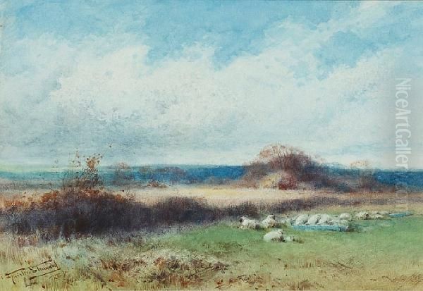 Extensive Landscape - view 1
