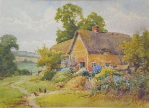 Hens On A Summer's Day