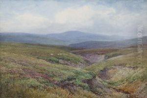 Upland Landscape