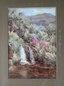 A Dartmoor Stream
