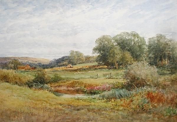 The Rural Stream - view 1