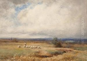 On The Moors - Near Flitwick, Ampthill, Bedfordshire