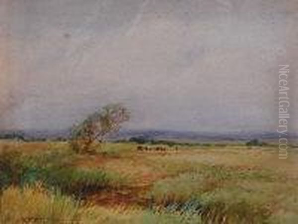 Marston Vale, Bedfordshire - view 1