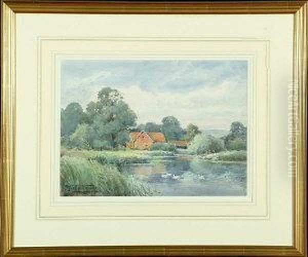 Ducks On A River With A Farm In The Middle Distance - view 1