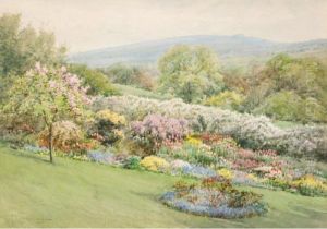 The Tulip Bed The Tulip Bed