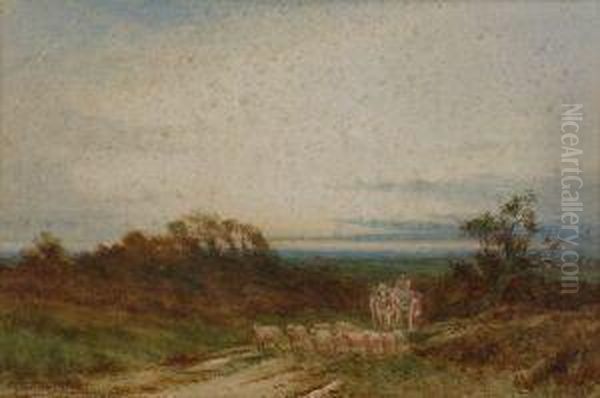 Return Of The Flock - view 1