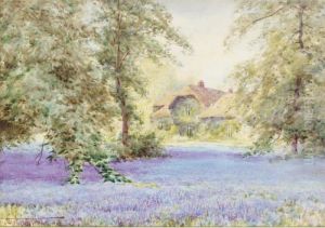 Bluebells By The Queen's Cottage, Kew Gardens
